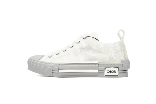 Dior B23 Low Oblique Low Rank Silver Gray