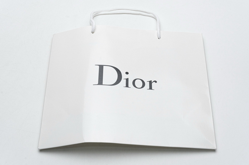 Dior B23 High White